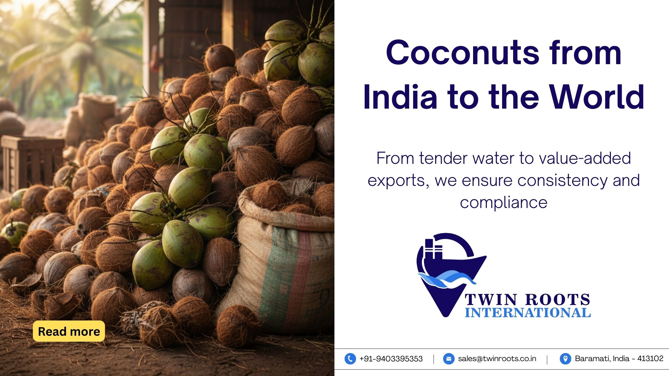 Coconut Export