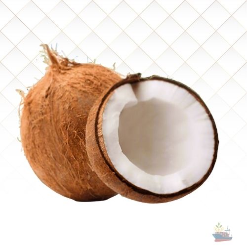 Premium Coconut