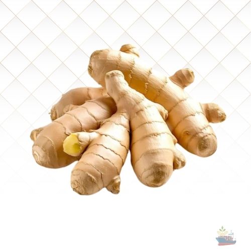 Ginger Root